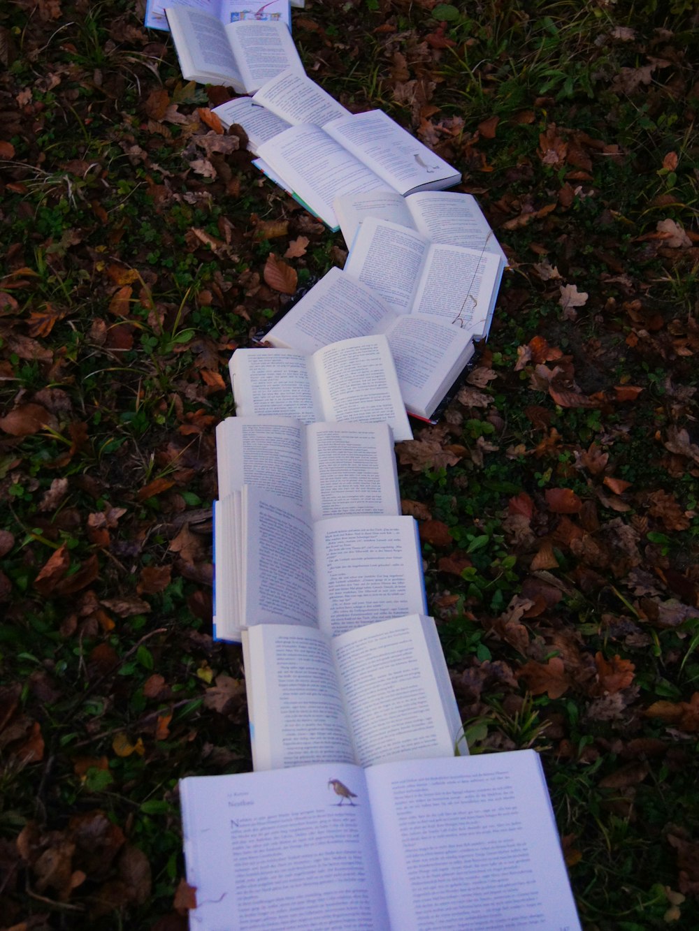 Printed paper samples laid out